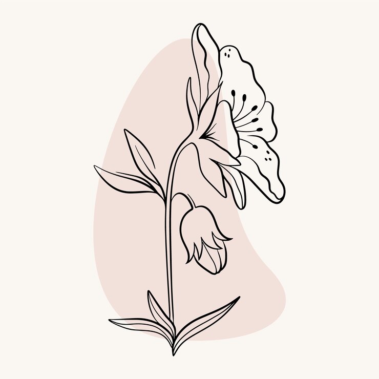 Free Vector flat simple flower outline illustration