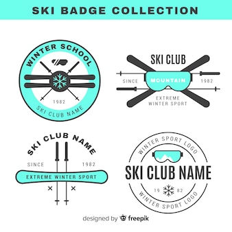플랫 스키 및 스노우 배지 컬렉션