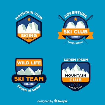 Collezione di badge sci e neve piatta
