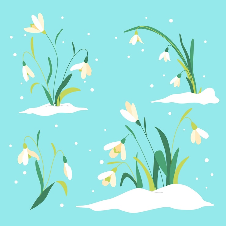 Free Vector flat snowdrops collection