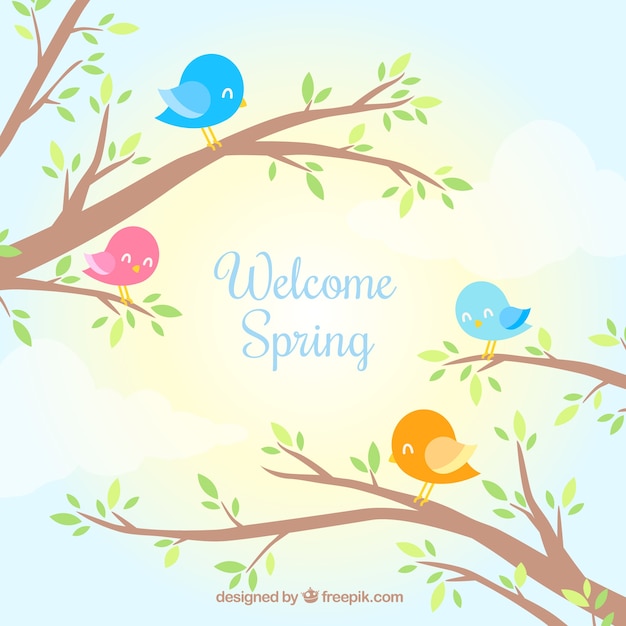 Flat spring background