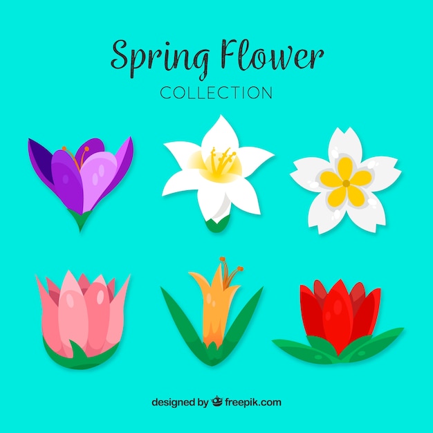 Vettore gratuito collezione di fiori di primavera piatta