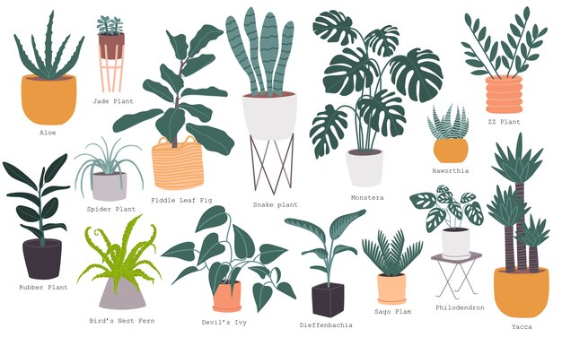 植物 画像 無料のベクター ストックフォト Psd