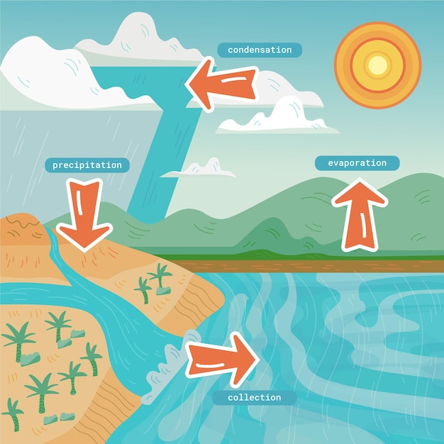 Flat style water cycle illustrated