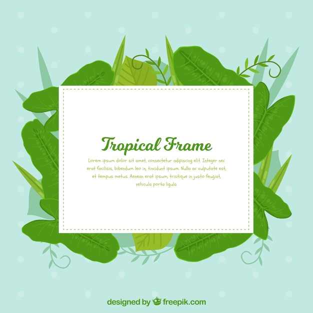 Flat summer frame with tropical leaves