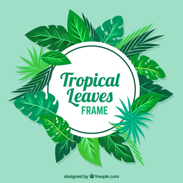 Flat summer frame with tropical leaves