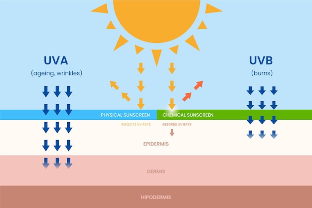 Vettore gratuito infografica di protezione solare piatta