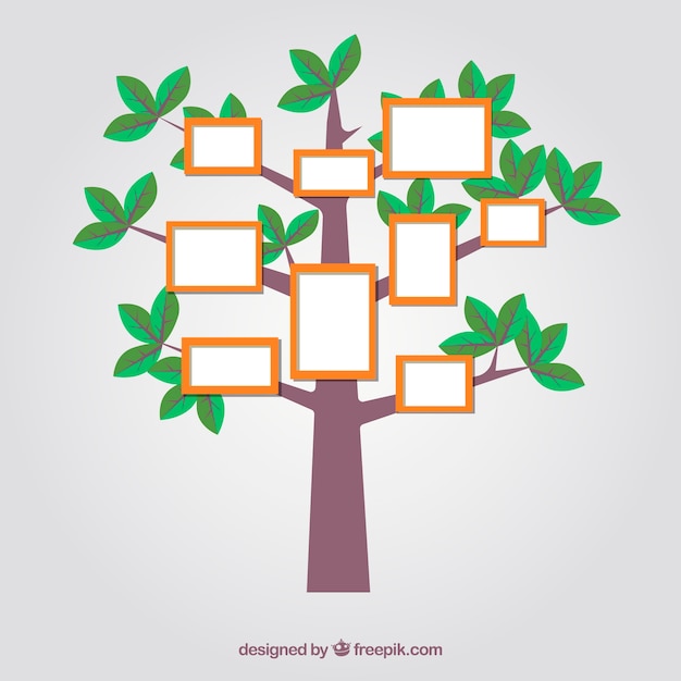 Free vector flat tree with frames on the wall