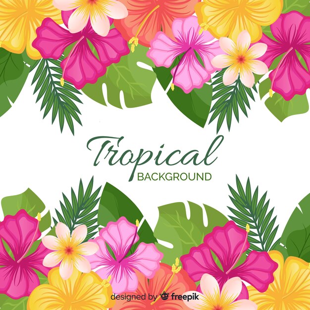 Flat tropical background