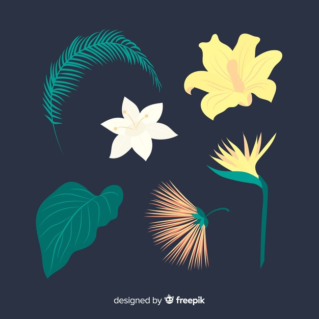 Flat tropical flowers and leaves pack