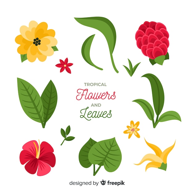 Free vector flat tropical flowers and leaves