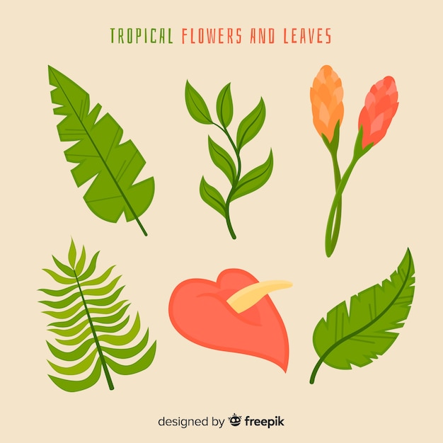 Flat tropical flowers and leaves