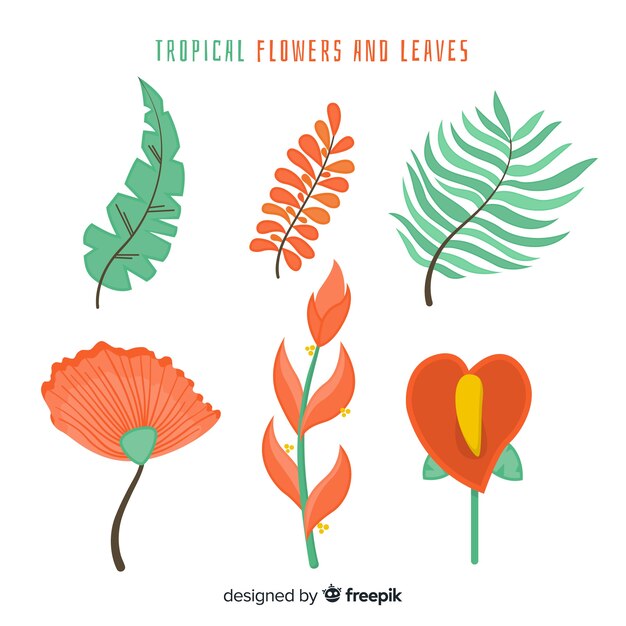 Flat tropical flowers and leaves