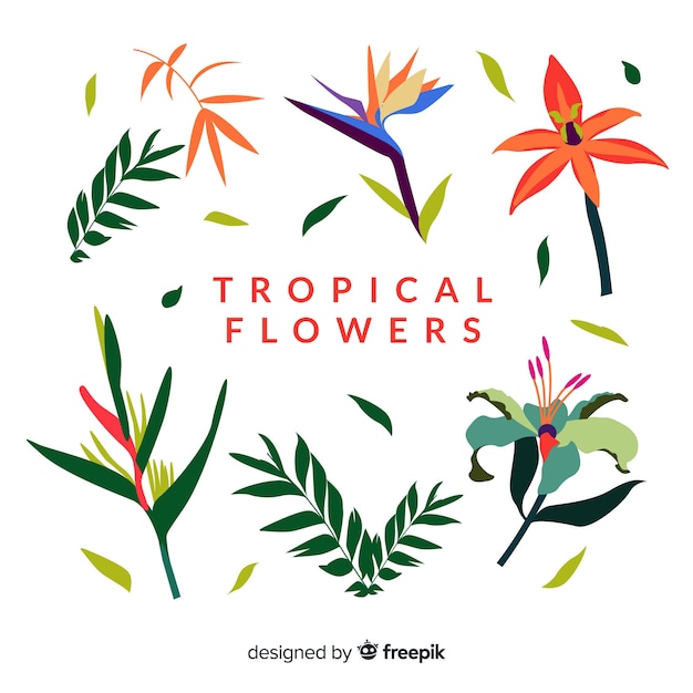 Flat tropical flowers and leaves