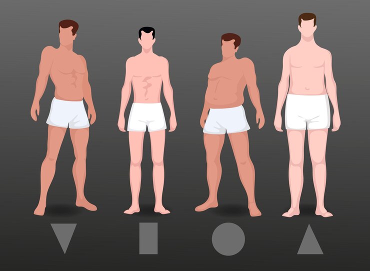 무료 Vector 플랫 타입의 남성 체형 팩