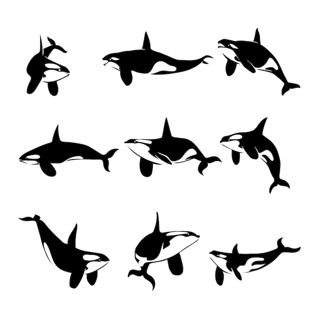 Free Vector flat whale silhouettes collection