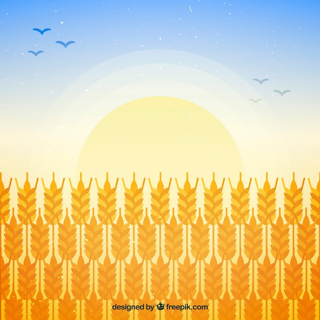 Free vector flat wheat background