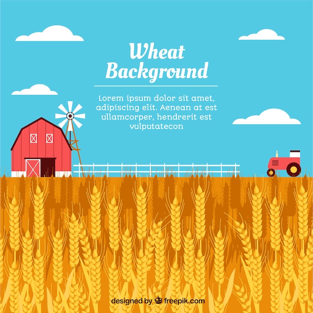 Free vector flat wheat background