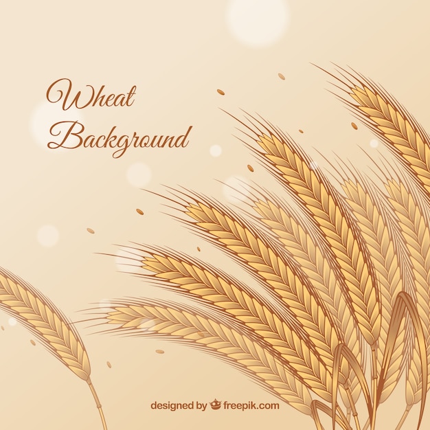 Flat wheat background