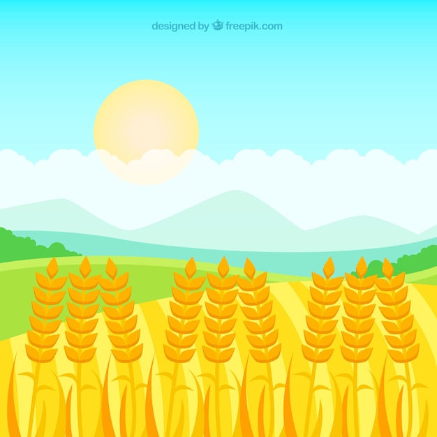 無料ベクター 平らな小麦の背景