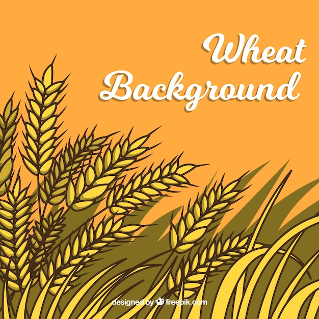 Free vector flat wheat background