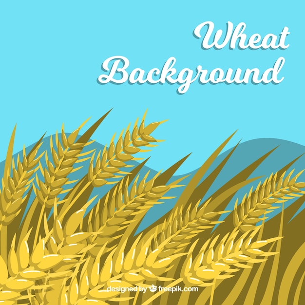 Бесплатное векторное изображение Фон плоской пшеницы