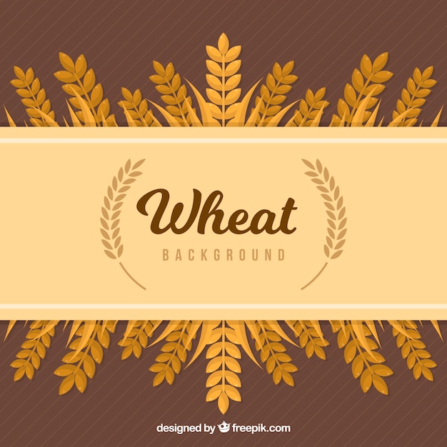 Flat wheat background