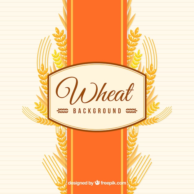 Flat wheat background