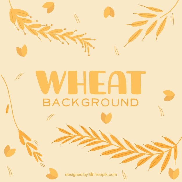 Flat wheat background