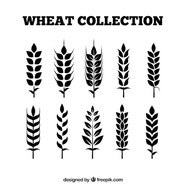 Free vector flat wheat collection