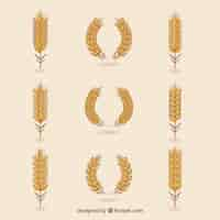 Free vector flat wheat collection