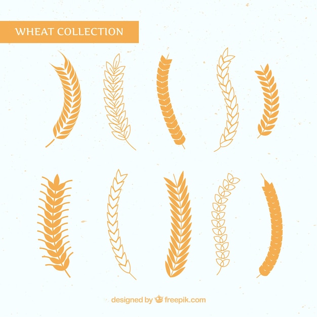 Flat wheat collection