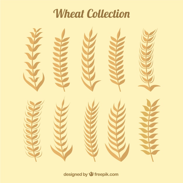 Free vector flat wheat collection