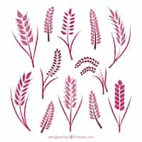 Free vector flat wheat collection