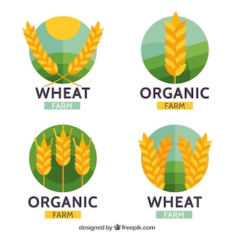 Flat wheat logo collection