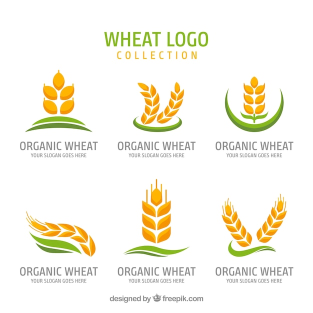 Бесплатное векторное изображение Коллекция логотипов плоской пшеницы