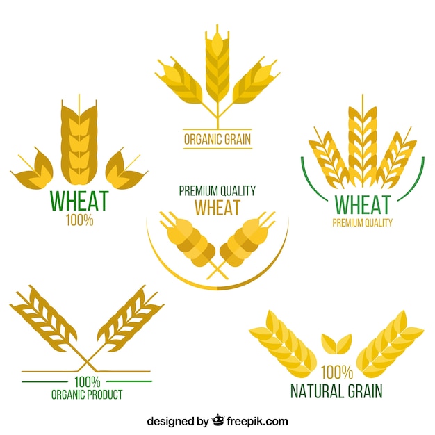 Vettore gratuito collezione di logo di grano piatto