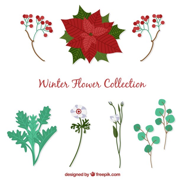 Flat winter flower collection