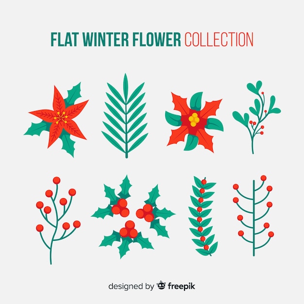 Flat winter flower collection