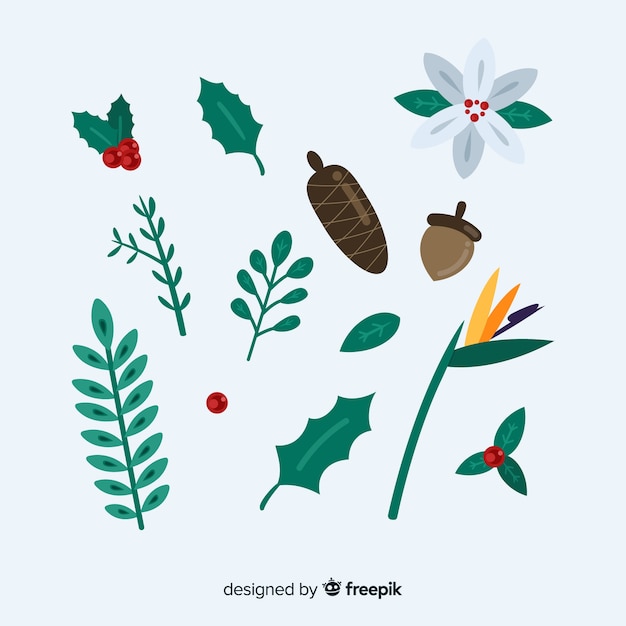Free vector flat winter flower collection