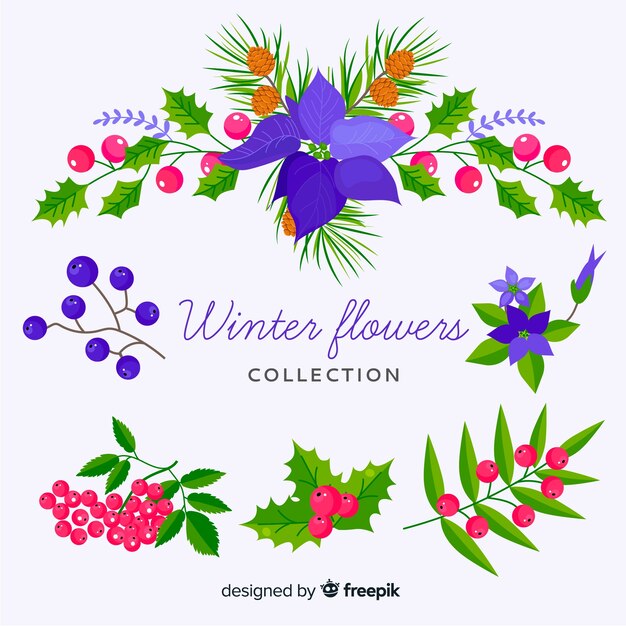 Flat winter flower collection