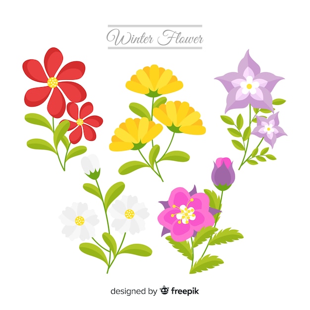 Flat winter flowers background