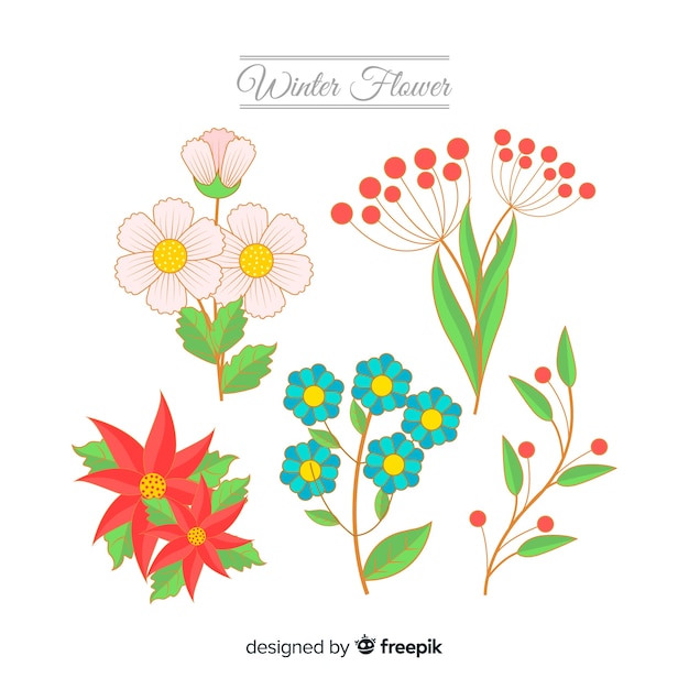 Flat winter flowers background