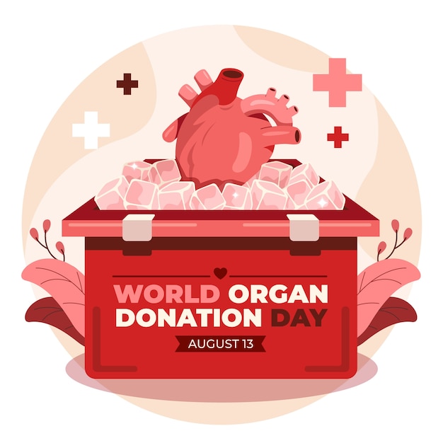 心臓と臓器のコンテナとフラットな世界の臓器提供日のイラスト