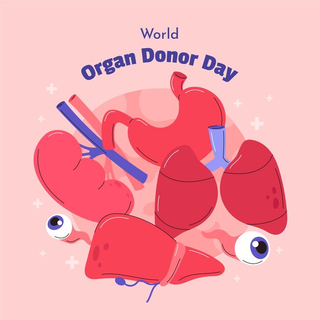 Иллюстрация дня донорства органов в плоском мире с человеческими органами