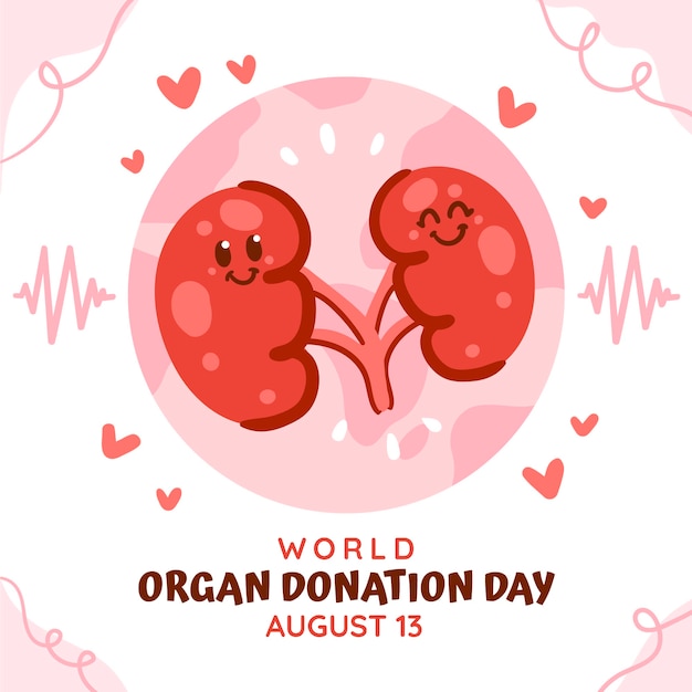 無料ベクター 腎臓とフラットな世界の臓器提供日のイラスト