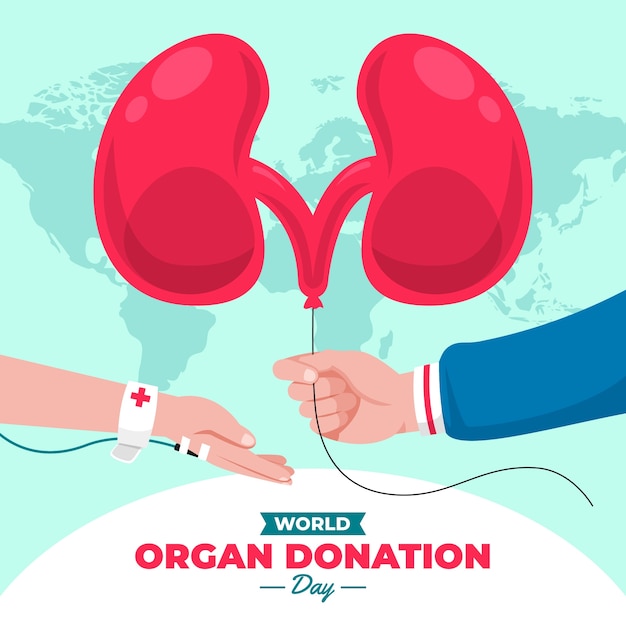 Illustrazione della giornata mondiale della donazione di organi piatta con i reni