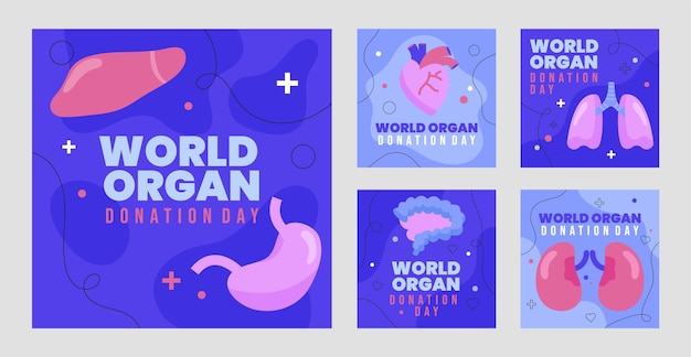Flat world organ donation day instagram posts collection