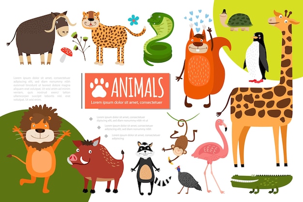 Плоская композиция животных зоопарка с буйволом, леопардом, змеей, белкой, пингвином, черепахой, жирафом, фламинго, крокодилом, павлином, енотом, обезьяной, кабаном, львом, иллюстрация