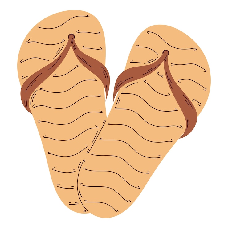 Free Vector flip flops footwear